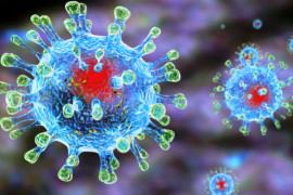 2 сентября. В Каменском новый случай заражения коронавирусом. Всего по области 56.