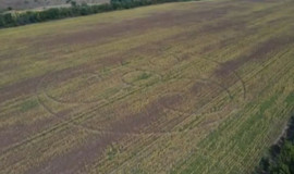 На Дніпропетровщині з’явилося загадкове коло на полі На Дніпропетровщині з’явилося загадкове коло на полі