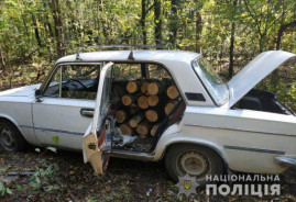 В Днепропетровской области задержали трех «черных» лесорубов