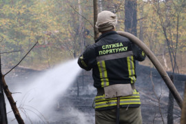 Под Днепром вспыхнул лесной пожар