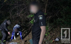 На Днепропетровщине в кустах обнаружили тело мужчины с отрезанной головой