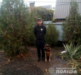Разбой и "проверка счетчиков": на Днепропетровщине ограбили пенсионерку