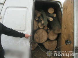 У Царичанському районі поліція виявила автомобіль, який перевозив зрублені дерева У Царичанському районі поліція виявила автомобіль, який перевозив зрублені дерева