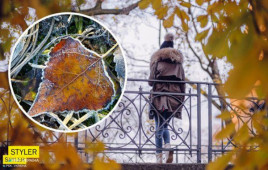 В Украине резко изменится погода: синоптики заявили про конец "бабьего лета" В Украине резко изменится погода: синоптики заявили про конец "бабьего лета"