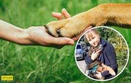 Киевлянка нашла своего пса через 11 лет: невероятная история преданности