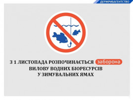В Каменском с 1 ноября нельзя ловить рыбу на зимовальных ямах В Каменском с 1 ноября нельзя ловить рыбу на зимовальных ямах