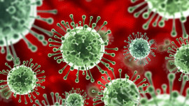 11 ноября. За прошедшие сутки в Каменском добавилось 6 позитивных результатов коронавируса.