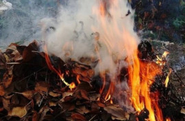 Каменчанам напомнили о запрете сжигания опавших листьев