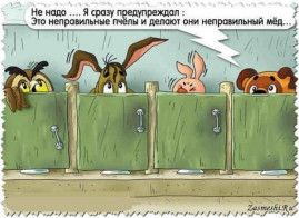 Полномочия избирателей Каменского заканчиваются после выборов? Полномочия избирателей Каменского заканчиваются после выборов?