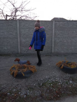 В Днепре девочка спасала собаку и попала под машину: водитель скрылся В Днепре девочка спасала собаку и попала под машину: водитель скрылся