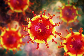 Среда, 13 января. За прошедшие сутки в Каменском добавилось 3 позитивных результата коронавируса.