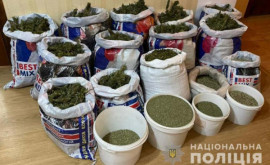 У жителя Каменского изъяли наркотики на сумму около 300 тыс. гривен