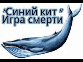 Группы самоубийц среди подростков становятся бешено популярны Группы самоубийц среди подростков становятся бешено популярны