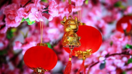 Сегодня наступает год Быка. Приметы, ритуалы для привлечения удачи и открытки с китайским новым годом