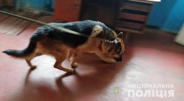 На Днепропетровщине служебная собака помогла задержать убийцу