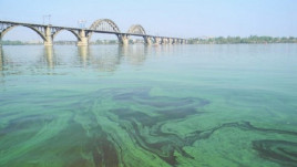 Скрининг: в водах Днепра обнаружили пестициды, фармпрепараты и тяжелые металлы