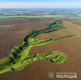 На Днепропетровщине чиновники на махинациях с землей нанесли государству миллионные убытки