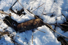 На Дніпропетровщині на цвинтарі знайшли снаряд від найвідомішої німецької гармати