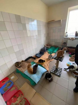 Тайны коммунальных предприятий Каменского: Добро пожаловать или посторонним вход воспрещен Тайны коммунальных предприятий Каменского: Добро пожаловать или посторонним вход воспрещен