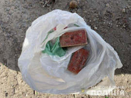 У жителя Каменского изъяли тротиловые шашки, у криворожцев - пистолет и кастет У жителя Каменского изъяли тротиловые шашки, у криворожцев - пистолет и кастет