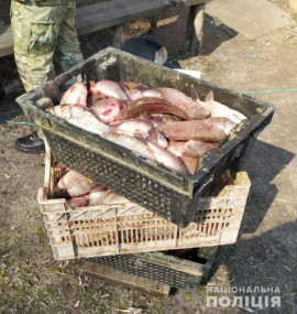 На Каменском водохранилище задержали рыбаков-браконьеров На Каменском водохранилище задержали рыбаков-браконьеров