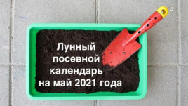 Лунный посевной календарь на май 2021 Лунный посевной календарь на май 2021