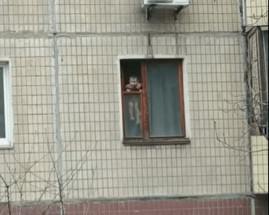 Жизнь ничему не учит: в Кривом Роге ребенок, который упал со 2 этажа, снова "висит" на окне Жизнь ничему не учит: в Кривом Роге ребенок, который упал со 2 этажа, снова "висит" на окне