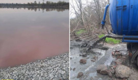 Под Днепром водоем стал ало-красным от крови погибших животных Под Днепром водоем стал ало-красным от крови погибших животных