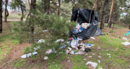 Под Каменским популярное место отдыха превратилось в свалку Под Каменским популярное место отдыха превратилось в свалку