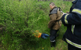 На Днепропетровщине спасатели помогли девочке выбраться из ямы На Днепропетровщине спасатели помогли девочке выбраться из ямы