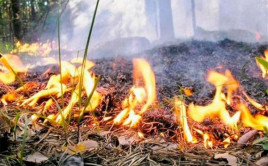 Жителей Днепропетровщины предупредили о наивысшем уровне пожароопасности