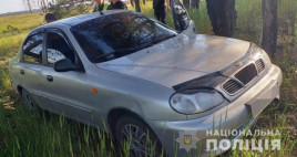 На Днепропетровщине пьяный водитель сбил женщину с внучкой и пытался спрятаться в лесополосе