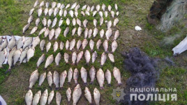 На Днепропетровщине поймали браконьера