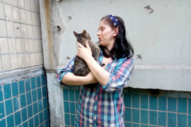 В Днепре кот застрял между домами В Днепре кот застрял между домами