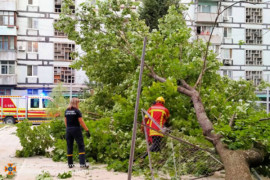В Днепре дерево рухнуло на детскую площадку В Днепре дерево рухнуло на детскую площадку