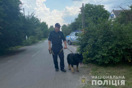 У Новомосковському районі службовий поліцейський пес впродовж години розшукав зниклу 10-річну дівчинку У Новомосковському районі службовий поліцейський пес впродовж години розшукав зниклу 10-річну дівчинку