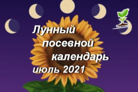Лунный посевной календарь на июль 2021 года для огородника и садовода