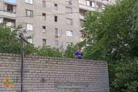 Хотел поесть шелковицы: 8-летний мальчик не смог слезть с дерева Хотел поесть шелковицы: 8-летний мальчик не смог слезть с дерева