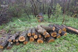 Патрульные Днепра продолжают выявлять граждан, которые уничтожают природные богатства