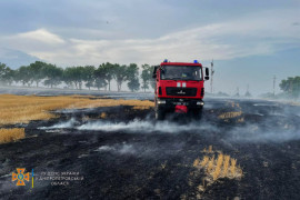 В Каменском районе горело поле