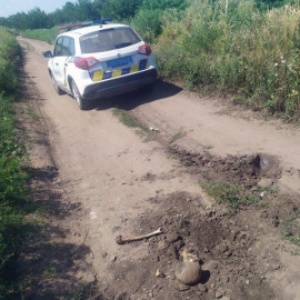 В Каменском в Южном районе нашли человеческие останки