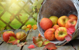 Яблочный Спас: что нужно обязательно освятить для счастья и достатка на целый год