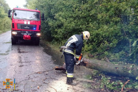 В Каменском районе непогода повалила деревья В Каменском районе непогода повалила деревья