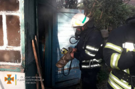 В Каменском на пожаре погиб мужчина В Каменском на пожаре погиб мужчина