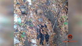 В Днепропетровской области возле АЗС Neftek нашли скелет женщины В Днепропетровской области возле АЗС Neftek нашли скелет женщины