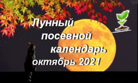 Посевной календарь на октябрь 2021: какие дни благоприятны для работы на земле Посевной календарь на октябрь 2021: какие дни благоприятны для работы на земле