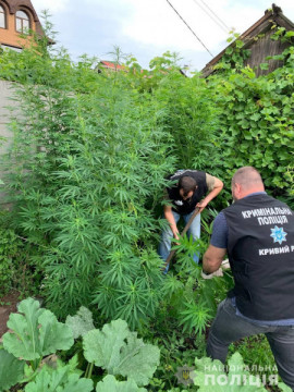 На Дніпропетровщині поліцейські підвели підсумки операції «Мак» На Дніпропетровщині поліцейські підвели підсумки операції «Мак»