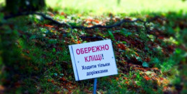 Жители Днепропетровщины начинают «жаловаться» на клещей