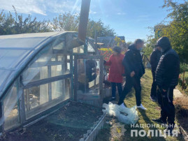 Теплицю з рослинами конопель виявили правоохоронці на території приватного домоволодіння у Верхньодніпровському районі Теплицю з рослинами конопель виявили правоохоронці на території приватного домоволодіння у Верхньодніпровському районі