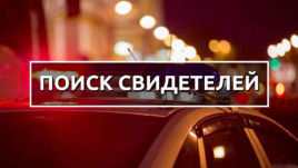 В Днепре на Сахарова насмерть сбили ребенка: полиция ищет свидетелей В Днепре на Сахарова насмерть сбили ребенка: полиция ищет свидетелей